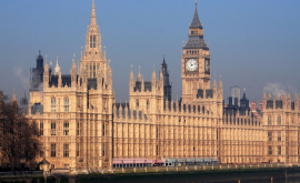 В британском парламенте завелись крысы