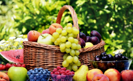 Fructele moldovenești la o expoziție importantă din Riga