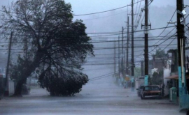 BBC News сравнил Карибы до и после мощнейшего урагана ВИДЕО