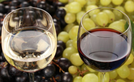 Винодельческий сектор возродился мнения