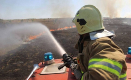 Ialoveniul în flăcări Pompierii au luptat cu incendiul VIDEOFOTO