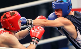 Boxerii moldoveni au cucerit 6 medalii de aur la Cupa Independenții