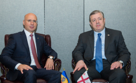 Moldova şi Georgia sînt dispuse să realizeze proiecte investiţionale comune