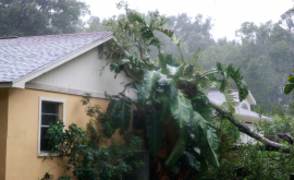 Uraganul Maria a provocat pagube de proporții la trecerea sa prin Caraibe