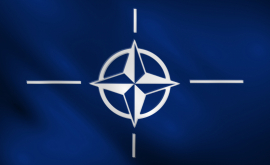 Noi detalii despre deschiderea oficiului de legătură NATO la Chișinău