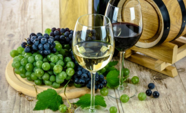 НОВВ Молдове следует увеличить экспорт элитных вин в Евросоюз
