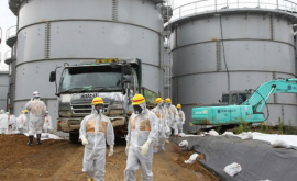 В Японии назвали виновных в аварии на АЭС в Фукусима