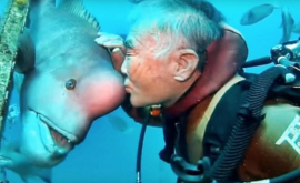 Японец 30 лет заботится о рыбе с человеческой головой ВИДЕО