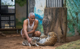 Peste 100 de animale sălbatice au fost salvate de un indian FOTO