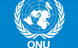 Совбез ООН проголосует по вопросу расследования химатак в Сирии