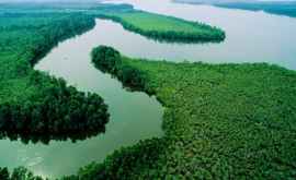 Исследователь снял кипящую Амазонку ВИДЕО