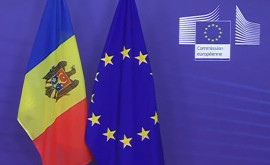Calmîc Piața UE este mult mai stabilă pentru mărfurile moldovenești