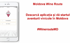 Развитию винного туризма в Молдове поможет новое мобильное приложение