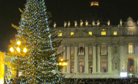 La Vatican a apărut un brad gigantic