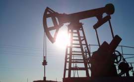 Ucraina a început să importe petrol din Moldova