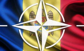 Vineri va fi inaugurat Oficiul de Legătură al NATO