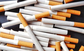Руководство табачной фабрики предстанет перед судом