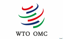 Moldova va participa la reuniunea OMC de la Buenos Aires