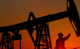 Нефть побила новый ценовой рекорд