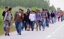 Ungaria rezoluție privind respingerea cotelor UE de imigranți