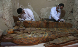 Находка в Египте может стать открытием года