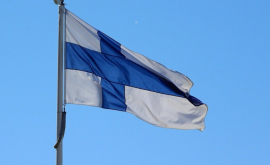 Moldova și Finlanda vor extinde comerțul bilateral