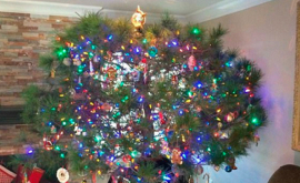 Семья 34 года наряжала купленную в 1983 году рождественскую елку