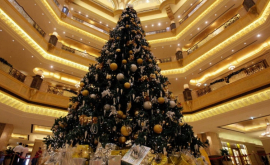 Молдавская диаспора собрала коллекцию снимков новогодних елок ФОТО