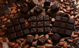 Ciocolata ar putea dispărea de pe Pămînt în 30 de ani