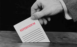 Избыток референдумов признак политического кризиса мнение