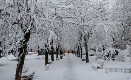 Cea mai mică temperatură a aerului atestată vreodată în Moldova în ianuarie
