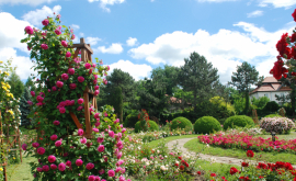 На окраине Чимишлии через пять лет появится ботанический сад
