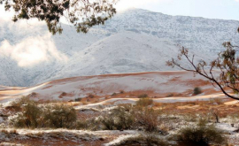 В пустыне Сахара выпал снег ФОТО