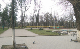 Două posibile obuze găsite în Parcul Central FOTO