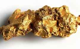Ученые обнаружили бактерии которые собирают золото по крупинкам
