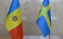 Молдова и Швеция обсудили влияние гидроэнергетического комплекса на окружающую среду