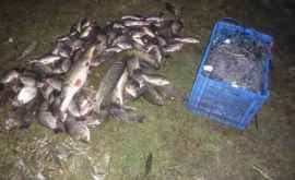 Рыболовные инспекторы поймали с поличным двух браконьеров ФОТО