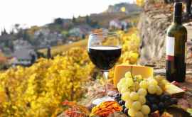 Tриумф молдавских виноделов на рынке Объединённых Арабских Эмиратов