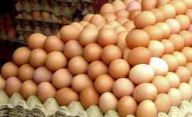 Ţara care vrea să interzică vînzarea unui tip de ouă