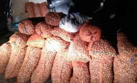 Таможенники задержали партию орехов на 180 тыс леев ФОТО