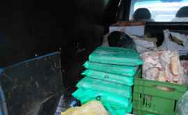 Peste 1700 de kilograme de mezeluri nimicite la Drochia FOTO