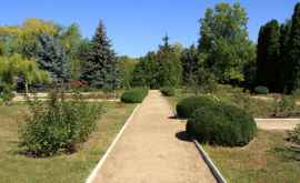 Grădina Botanică din Tiraspol un paradis al trandafirilor FOTO 