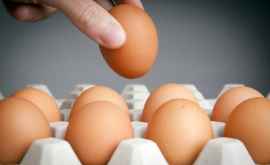 ANSA рекомендует покупать яйца только в авторизованных местах