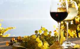 На выставке в Италии представлены пять молдавских вин 