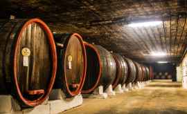 Почему известные компании не инвестируют в молдавское виноделие