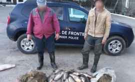 Рыбаков поймали за незаконной ловлей в пограничной зоне