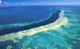 Australia va investi 312 milioane de euro pentru refacerea Marii bariere de corali