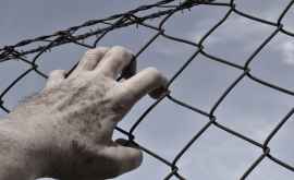 Patru deţinuţi minori din Penitenciarul Goian au atacat un gardian