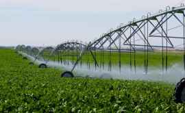 Agricultorii vor avea acces la apele de suprafață pentru irigarea terenurilor