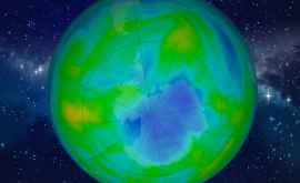Угроза озону ктото портит атмосферу